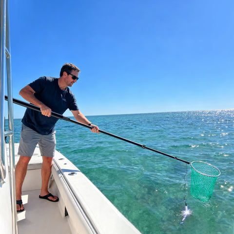 Battery Powered Carbon Fiber Landing Net with Extendable Handle
