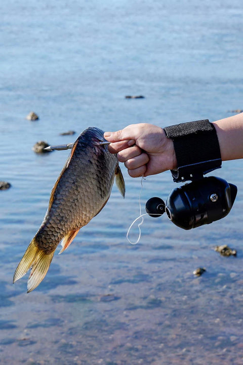 Stainless Steel Slingshot Set for Outdoor Fishing and Target Practice
